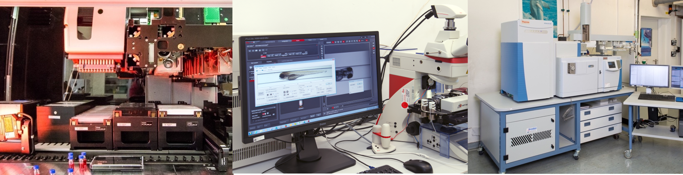 Sample preparation, High-throughput assays, Chemical analysis Sample preparation, High-throughput assays, Chemical analysis